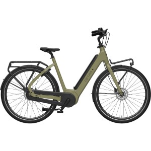 CORTINA E-Common Int Family Moss Green 50cm 2025